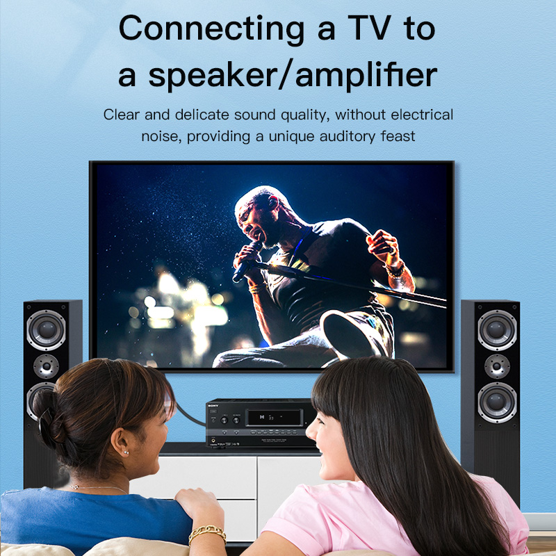 CHOSEAL RCA Cable Digital Coax - Genius Home Cinema recension och pris